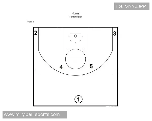 篮球夹击战术解析与实战应用技巧分享